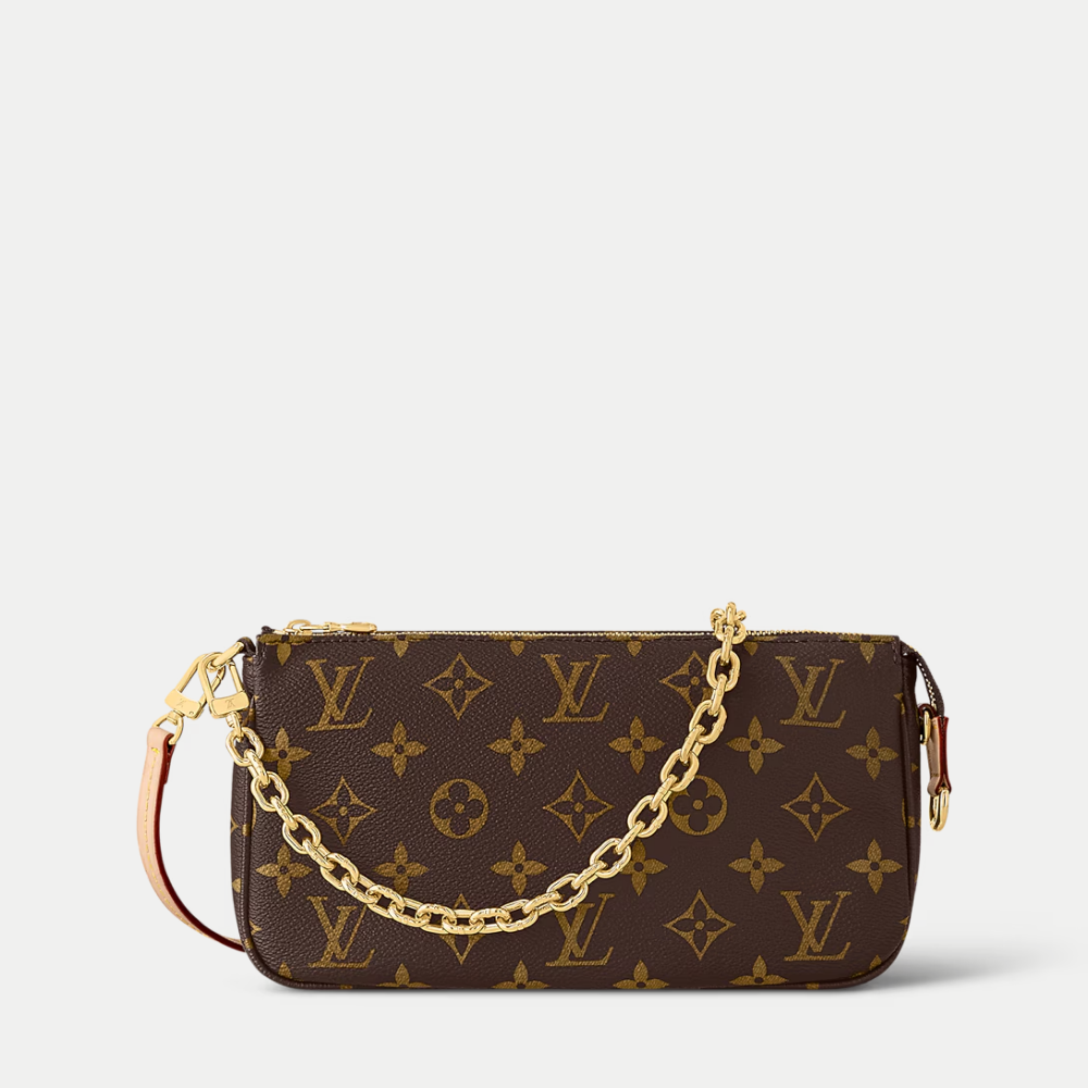 LV Pochette Accessoires - Brown — view 1