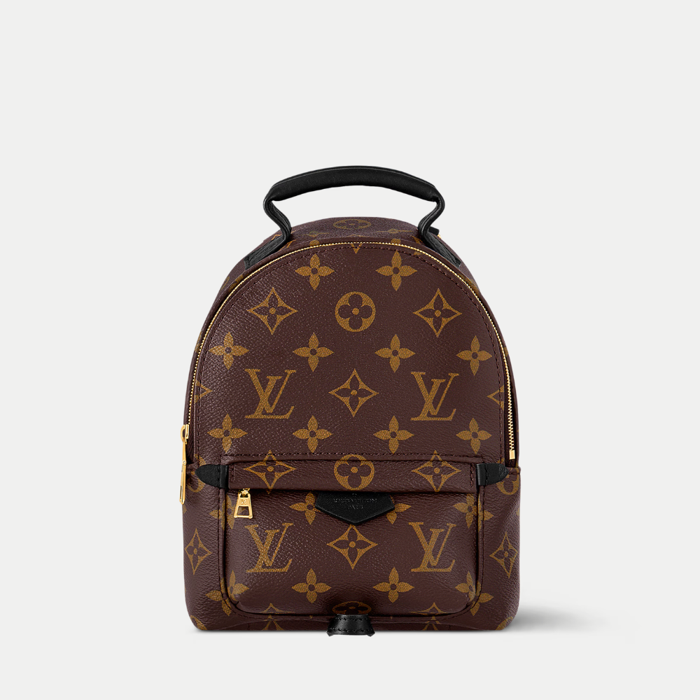 LV Palm Springs Mini Backpack - Brown — view 1