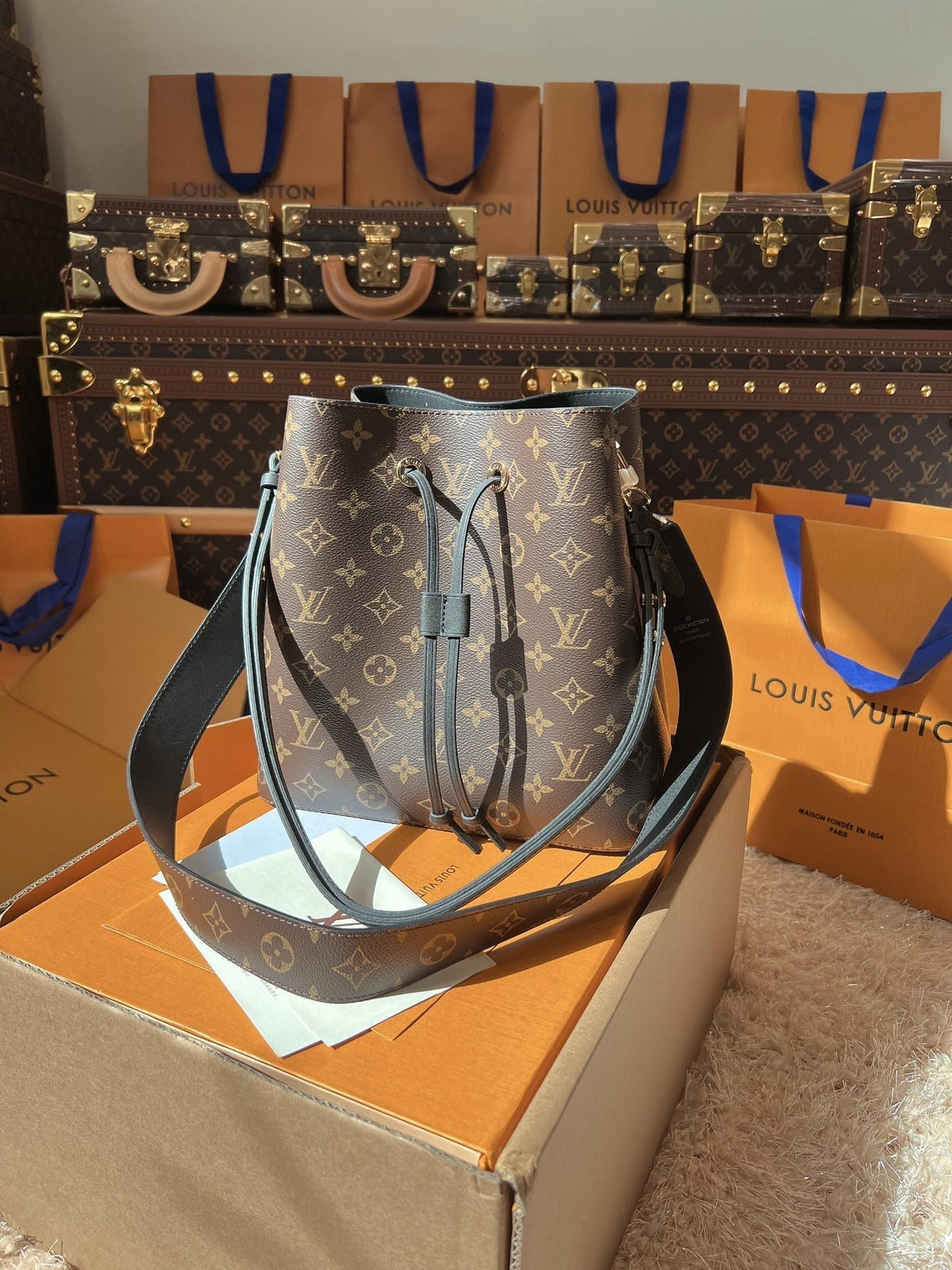 LV Neonoé Monogram Canvas Bucket Shoulder Bag with Leather Trim and Adjustable Strap 26 cm — view 5