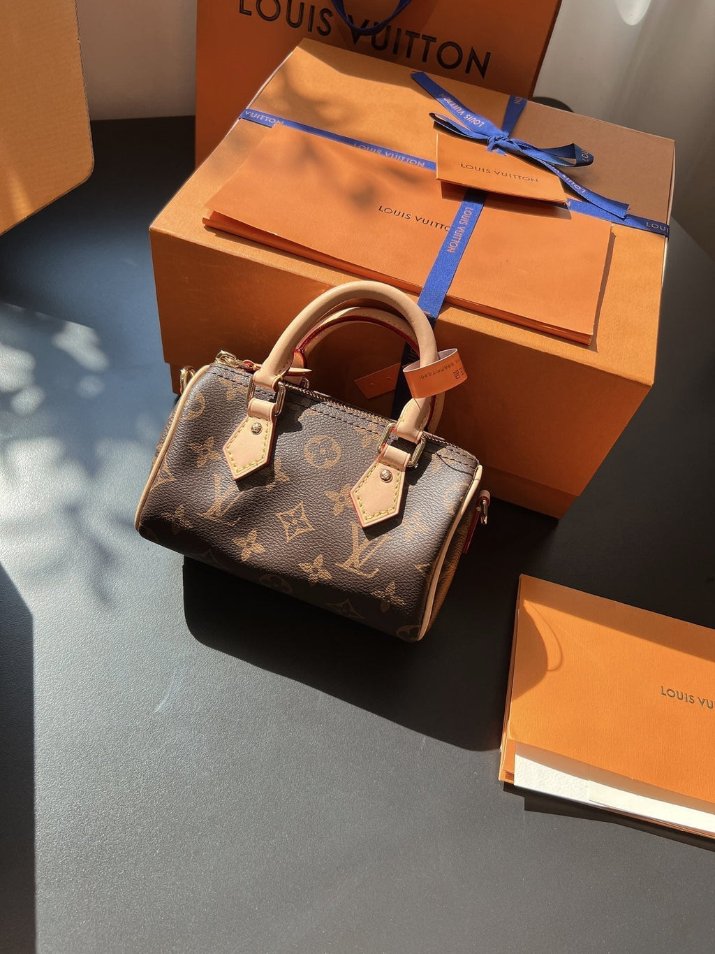 LV Speedy Nano Monogram Canvas Handle Crossbody Bag with Leather Trim and Adjustable Strap 16 cm — view 6