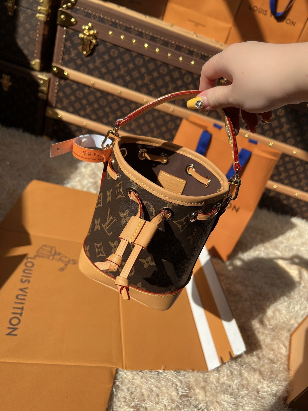 LV Nano Noé Monogram Canvas Mini Bucket Bag — view 4