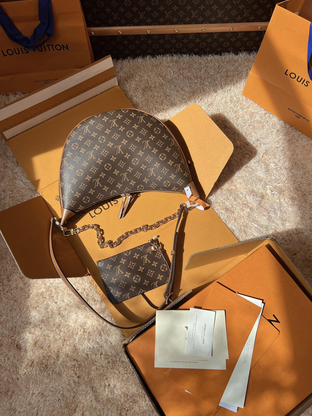 LV Loop Monogram Canvas Hobo Shoulder Crossbody Bag with Chain Detail — view 3