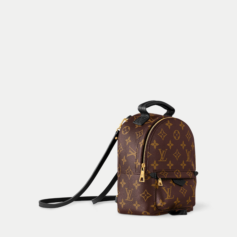 LV Palm Springs Mini Backpack - Brown — view 2