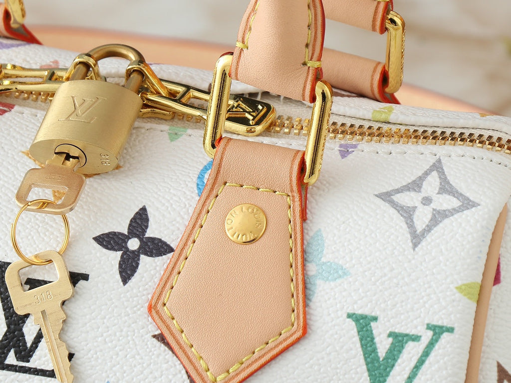Louis Vuitton LV Speedy Bandouliere 20 Handbag — view 15