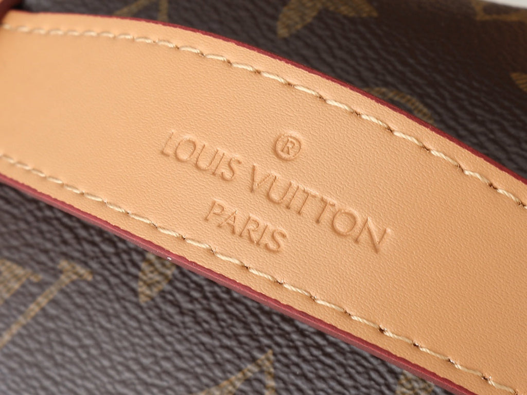 LV Rush Bumbag Monogram — view 16