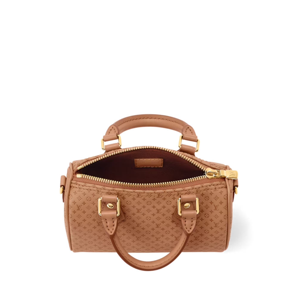 LV Signature Nano Speedy Handbag — view 6