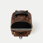 LV Palm Springs Mini Backpack - Brown — view 3