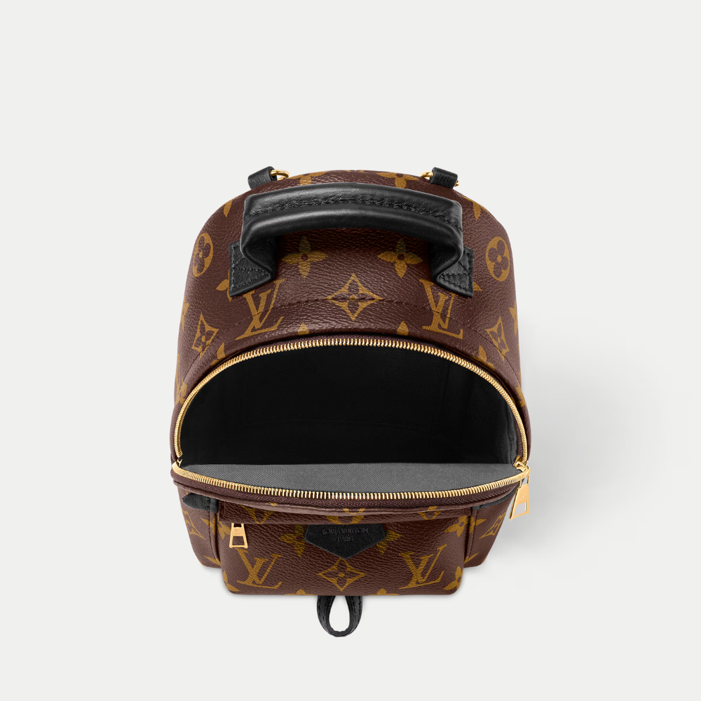 LV Palm Springs Mini Backpack - Brown — view 3