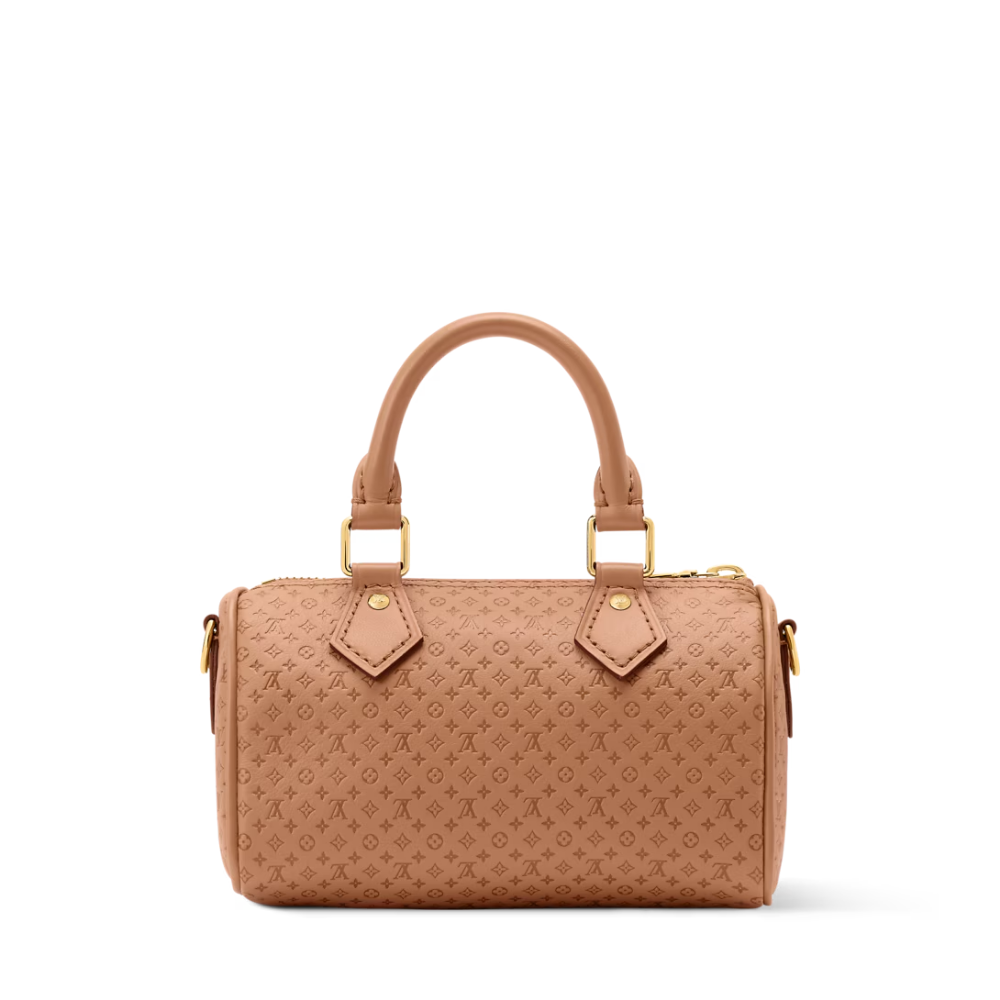 LV Signature Nano Speedy Handbag — view 4