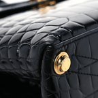 LV Rose Des Vents Mini Handbag - Alligator Matte Black — view 5
