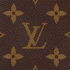 LV Palm Springs Mini Backpack - Brown — view 5
