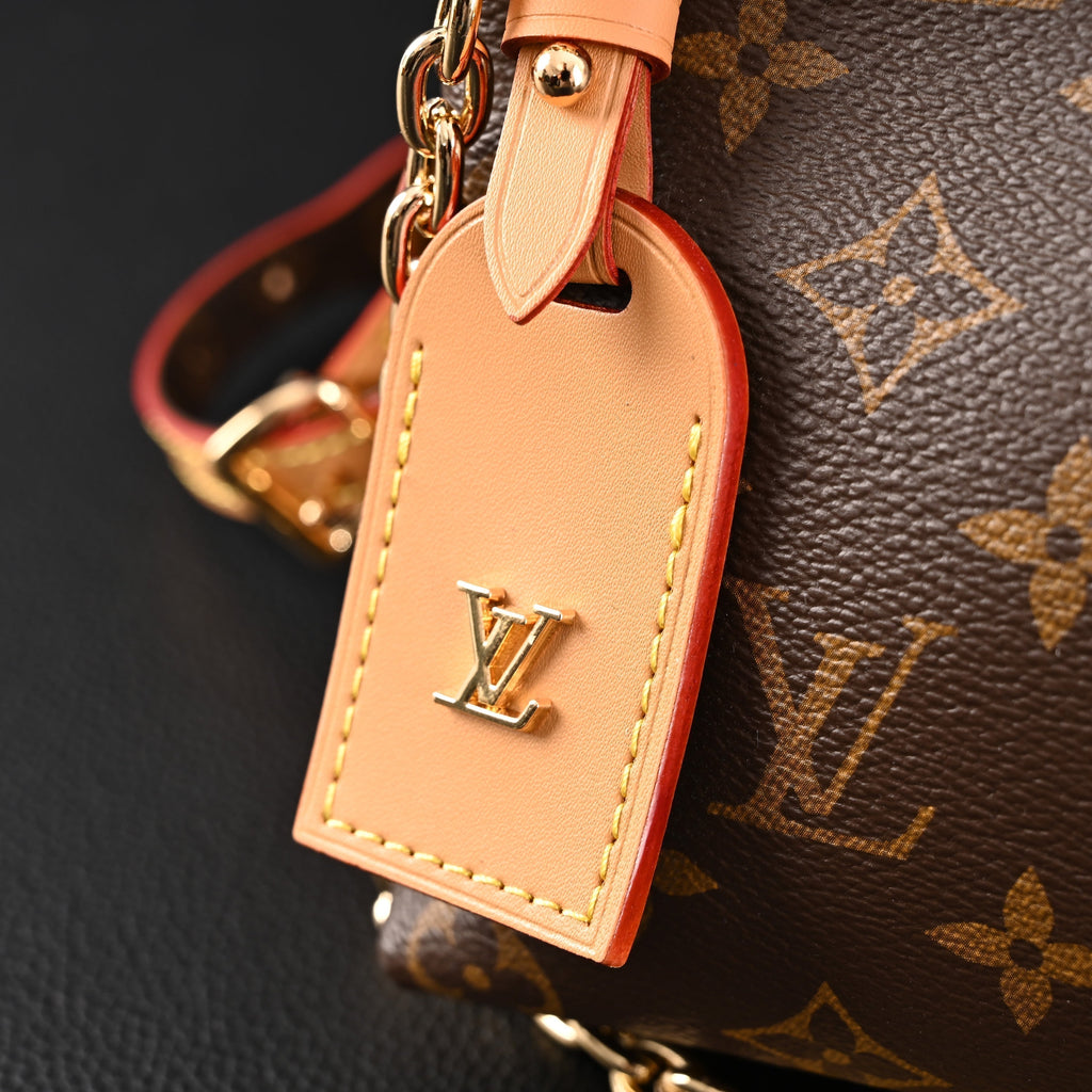 Louis Vuitton Carryall BB Monogram Canvas Shoulder Bag – Classic Brown (M13014) — view 10
