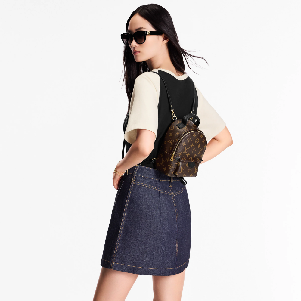 LV Palm Springs Mini Backpack - Brown — view 6
