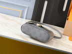 Louis Vuitton LV Vanity Chain Pouch Shoulder Bag - Gray — view 4