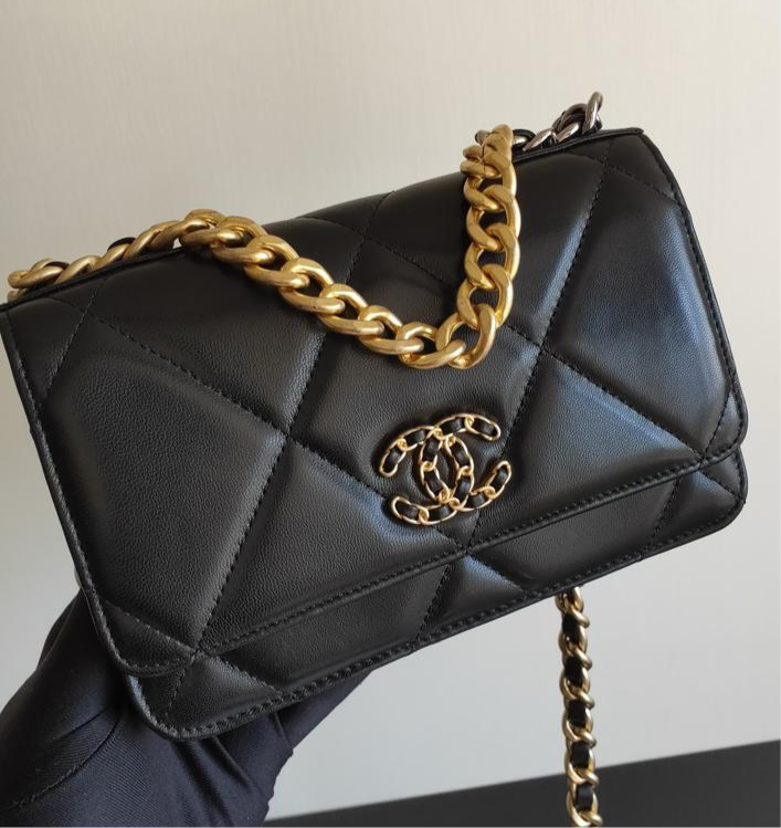 Chanel 19 Wallet On Chain WOC Bag — view 2