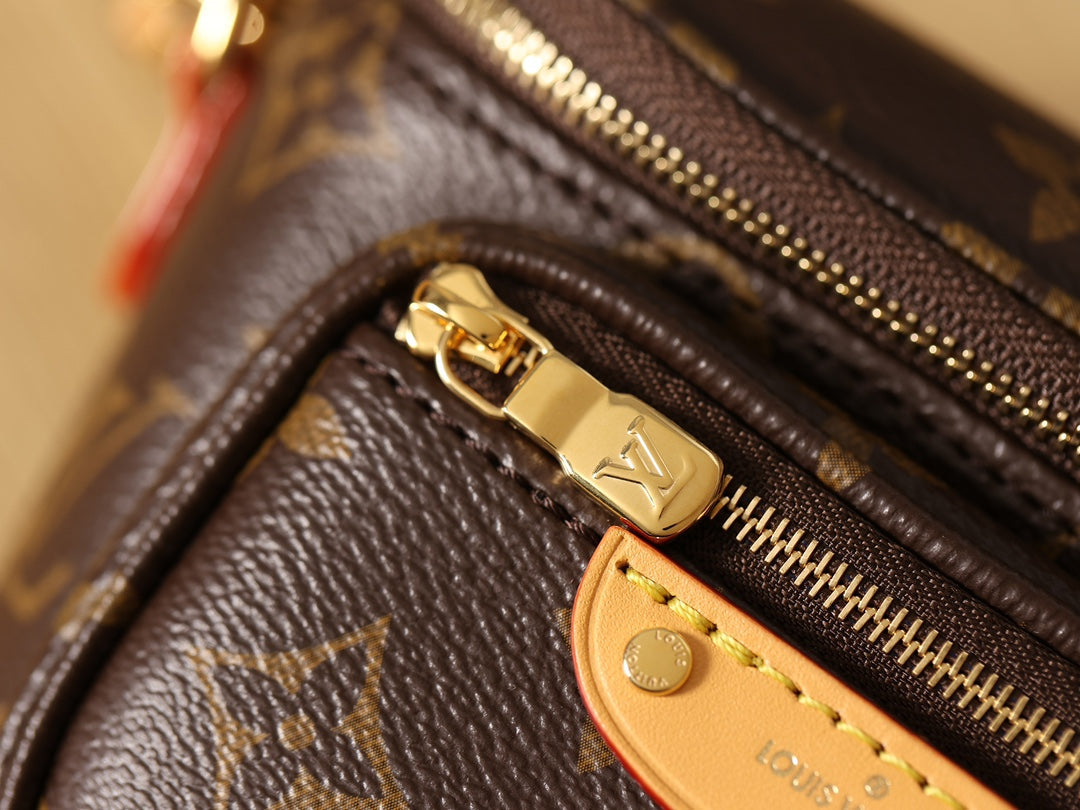 LV Monogram Mini Bumbag Bag — view 8