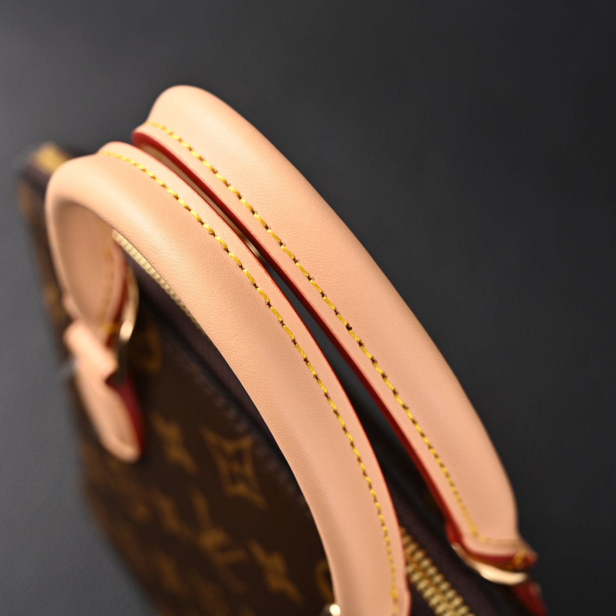Louis Vuitton Speedy 30 Handbag – Monogram Canvas with Leather Trim — view 20