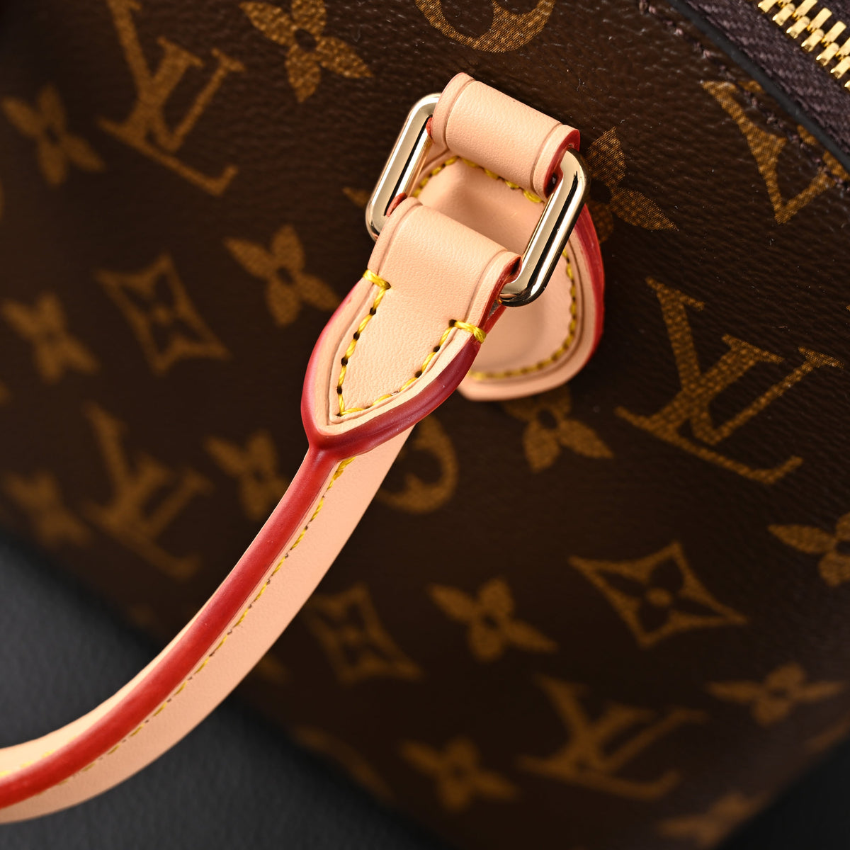 Louis Vuitton Speedy 30 Handbag – Monogram Canvas with Leather Trim — view 21