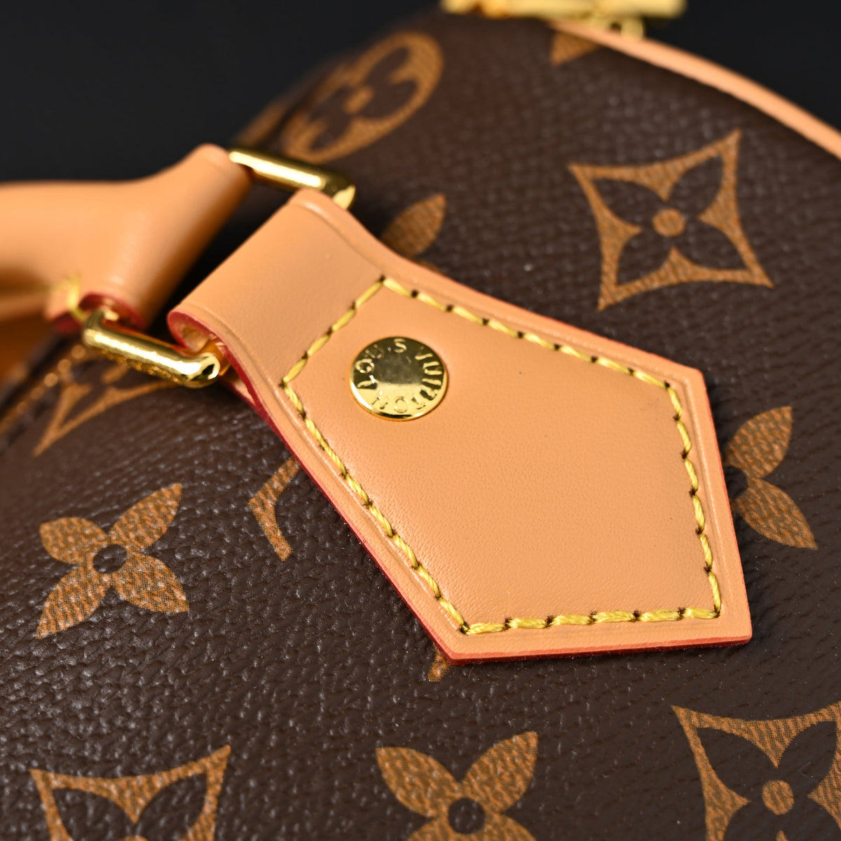 Louis Vuitton Speedy Bandoulière 25 Monogram Canvas Handbag — view 15