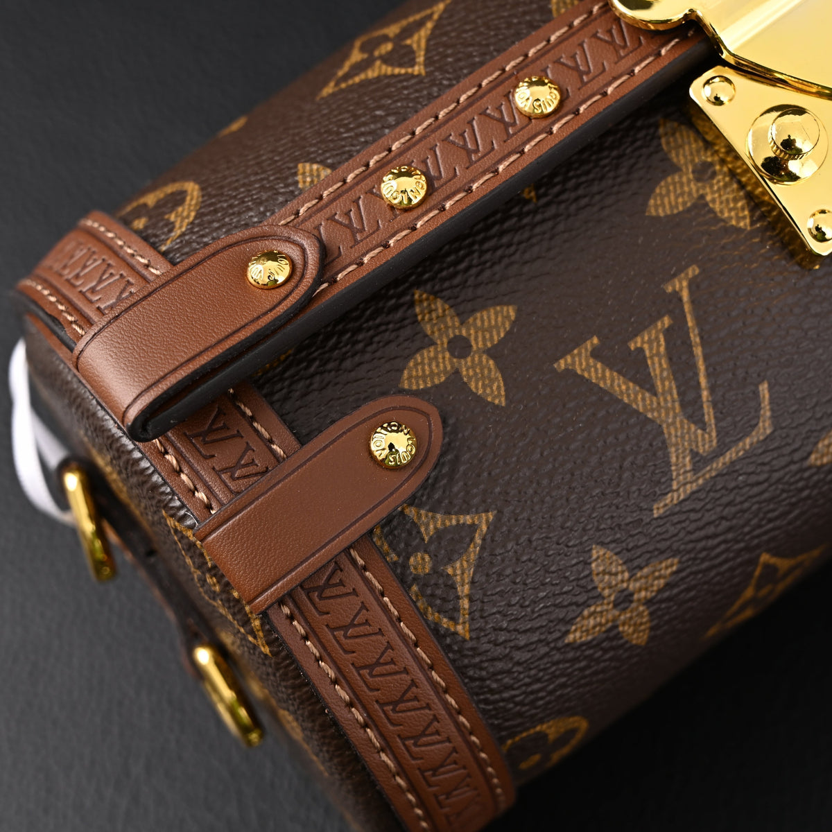 Louis Vuitton Cannes Monogram Canvas Bag — view 3