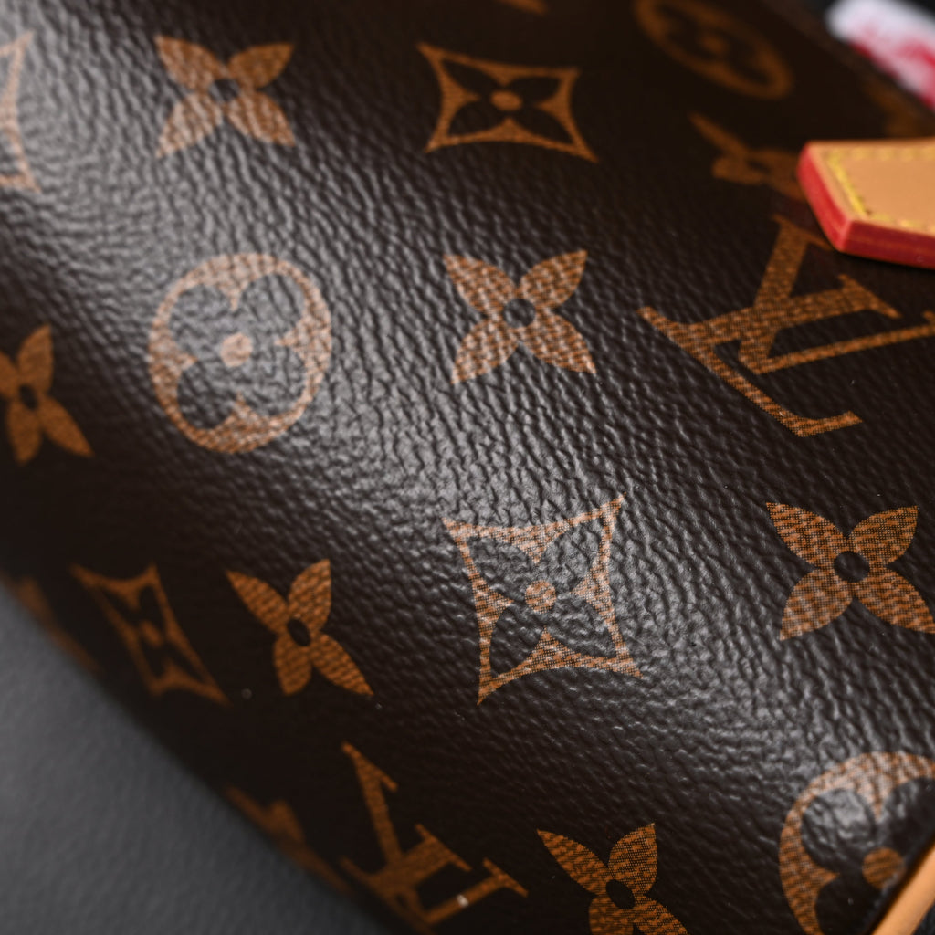 Louis Vuitton Speedy 25 Monogram Canvas Handbag — view 7