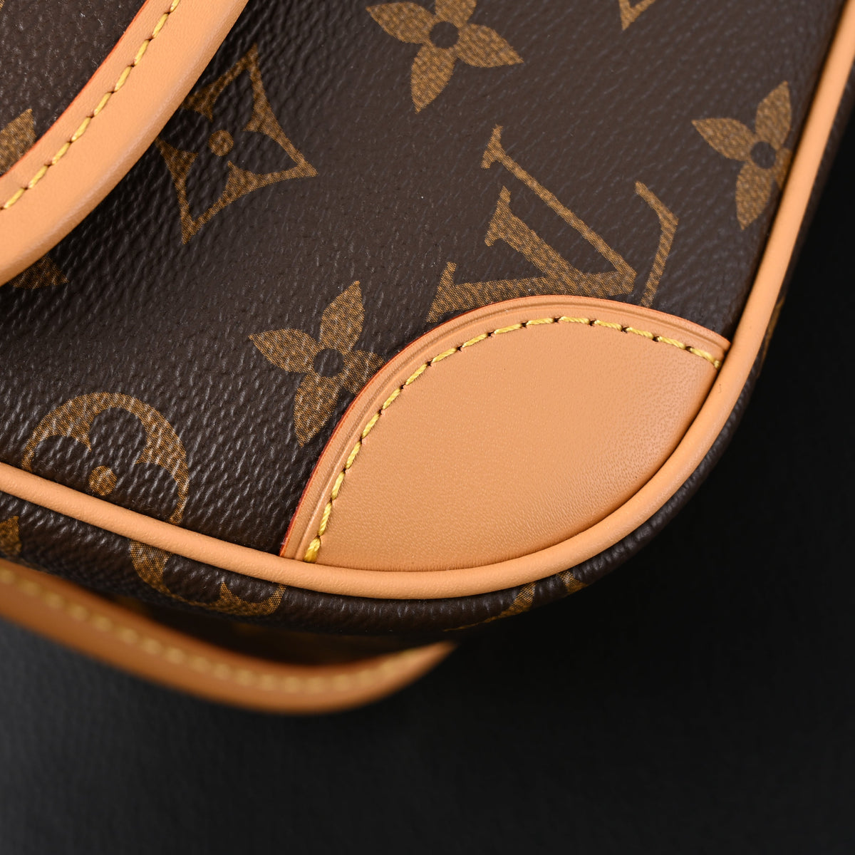 Louis Vuitton Croissant Bag Monogram Canvas — view 20