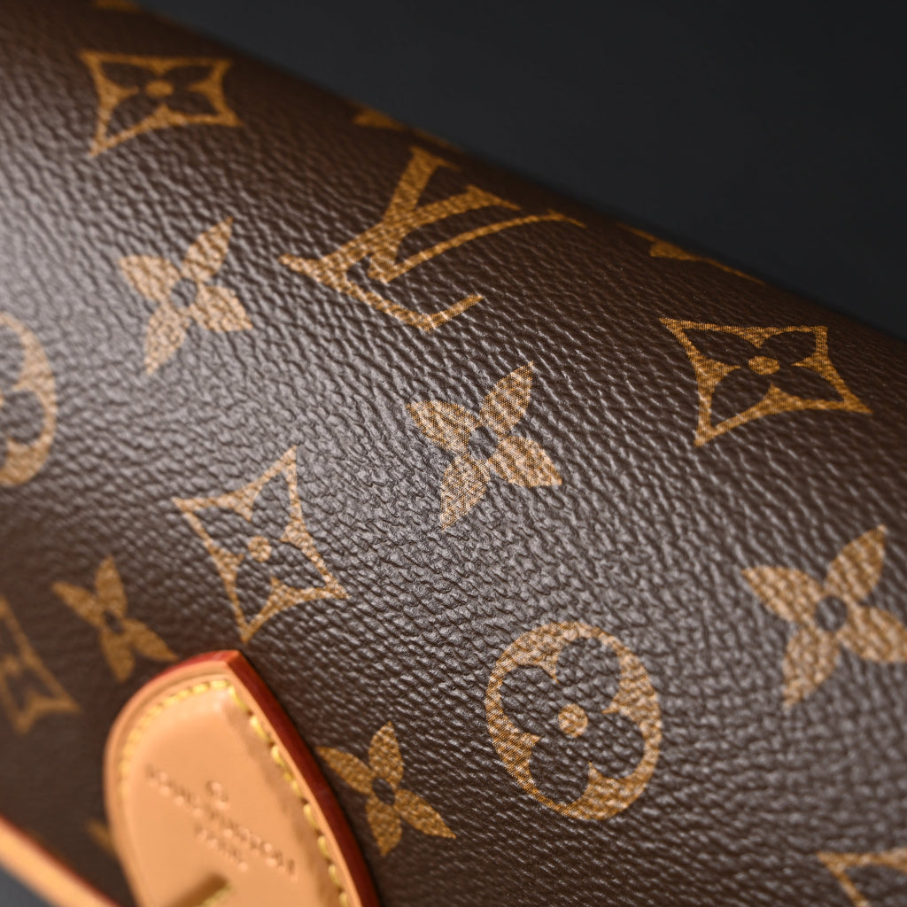Louis Vuitton Croissant Bag Monogram Canvas — view 5