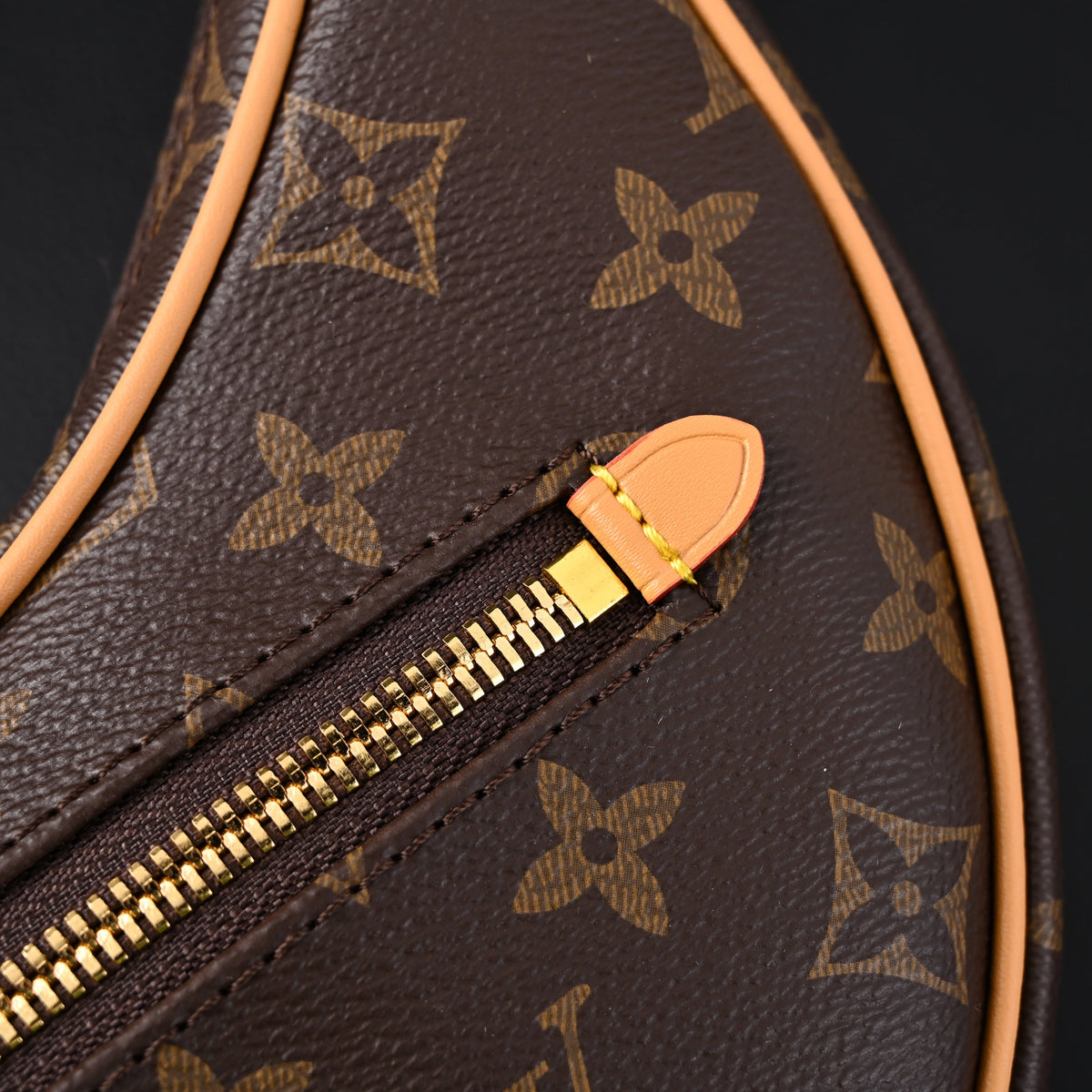 Louis Vuitton Loop Bag – Monogram Canvas with Gold Chain — view 7