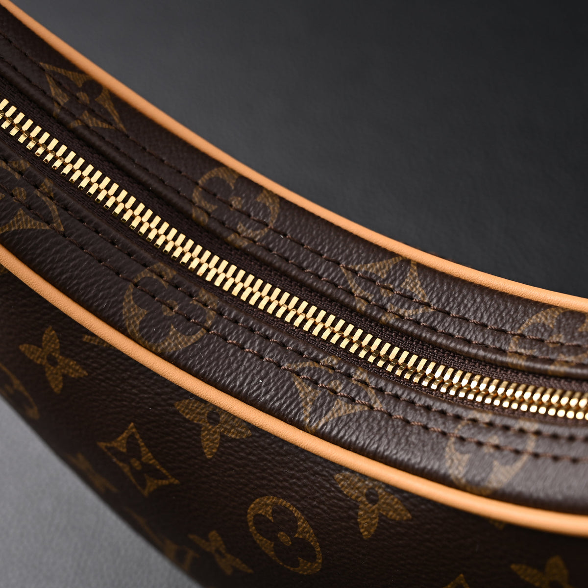 Louis Vuitton Loop Bag – Monogram Canvas with Gold Chain — view 17