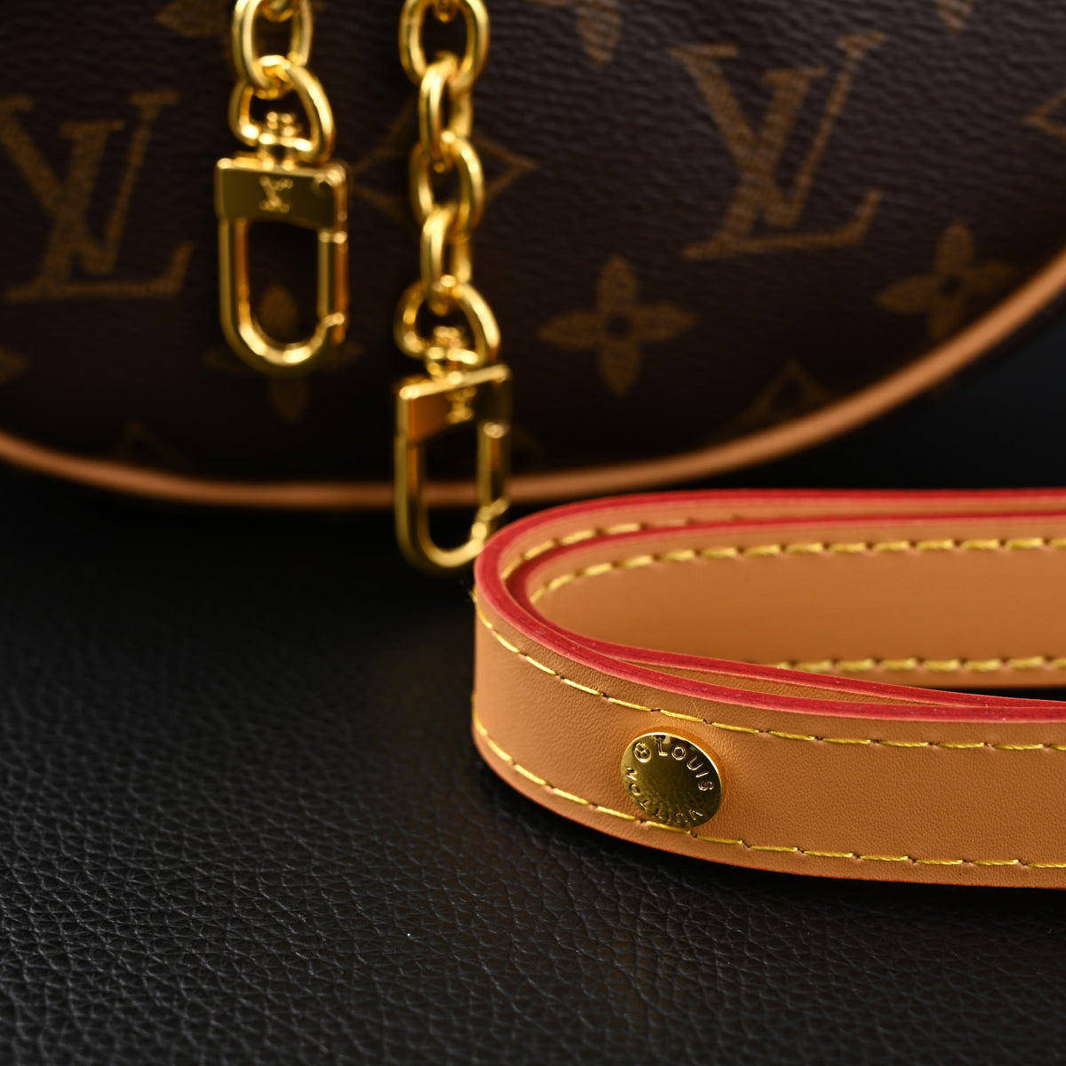 Louis Vuitton Loop Bag – Monogram Canvas with Gold Chain — view 2