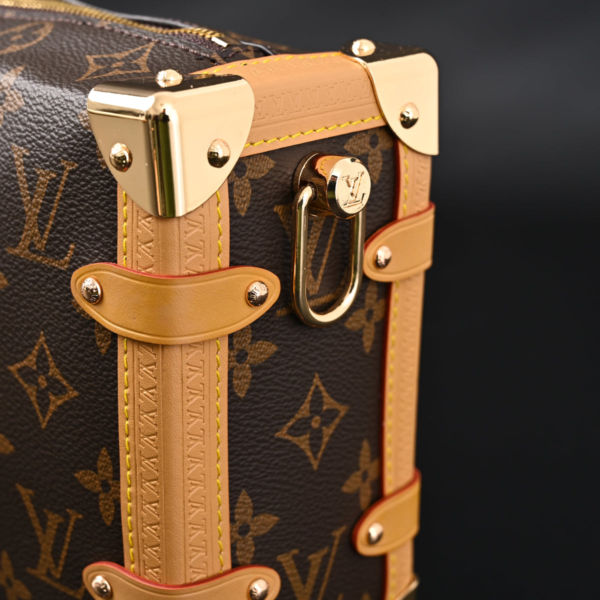 Louis Vuitton Cannes Trunk Bag – Monogram Canvas with Gold-Tone Hardware — view 5