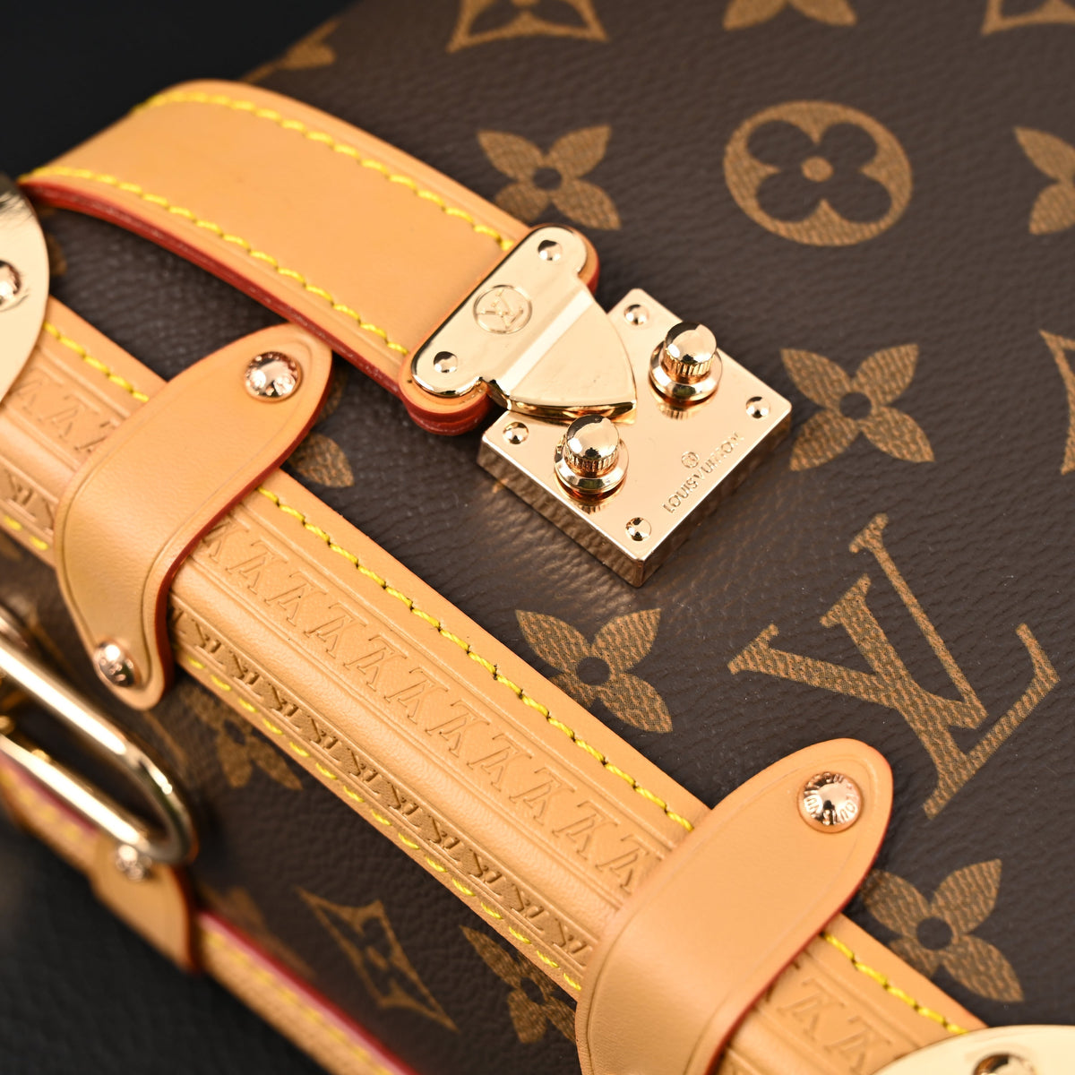 Louis Vuitton Cannes Trunk Bag – Monogram Canvas with Gold-Tone Hardware — view 15