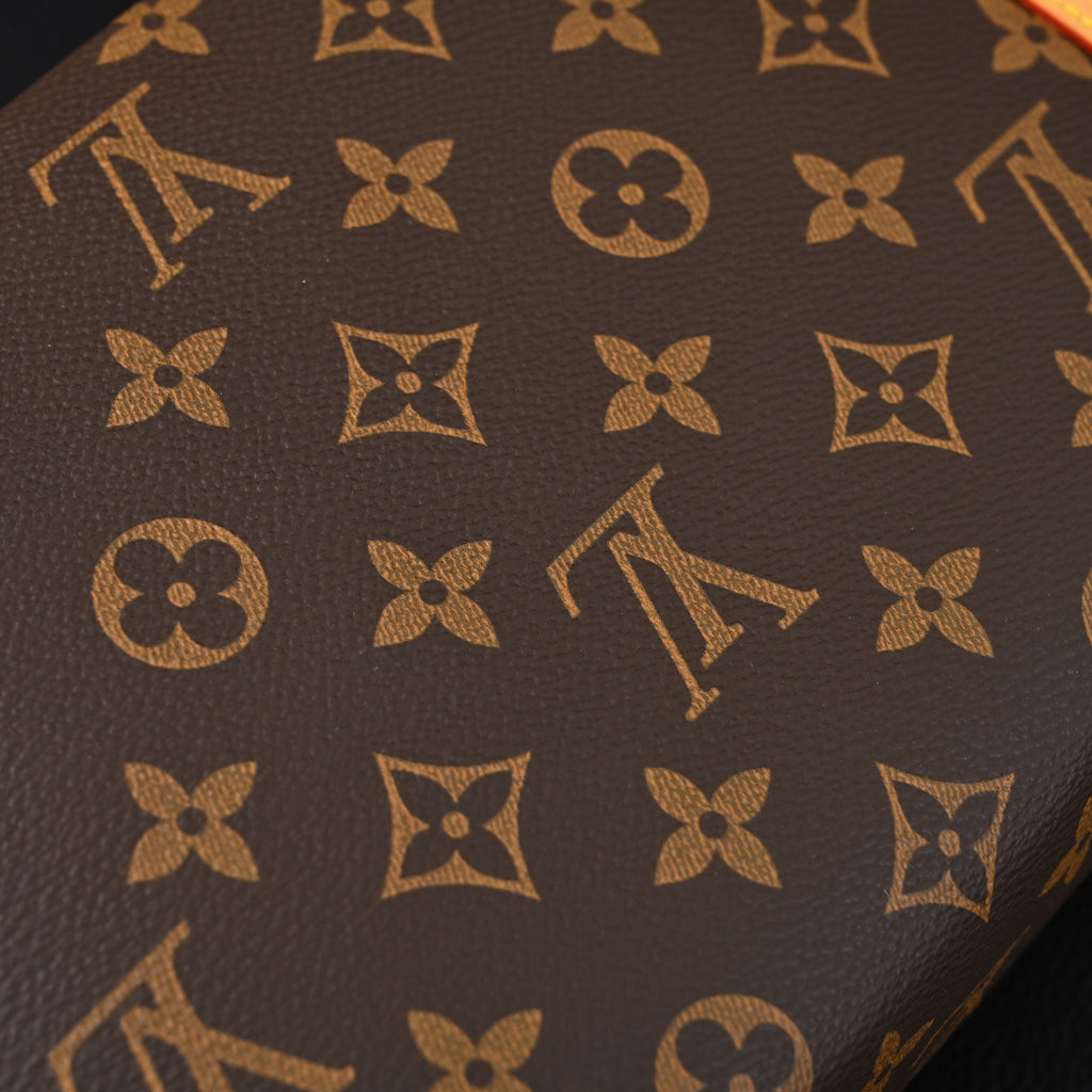 Louis Vuitton Cannes Trunk Bag – Monogram Canvas with Gold-Tone Hardware — view 7