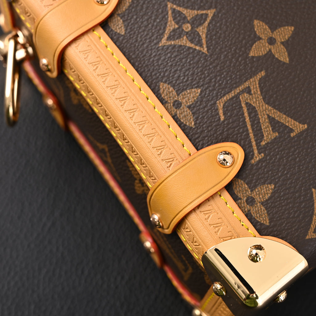 Louis Vuitton Cannes Trunk Bag – Monogram Canvas with Gold-Tone Hardware — view 19