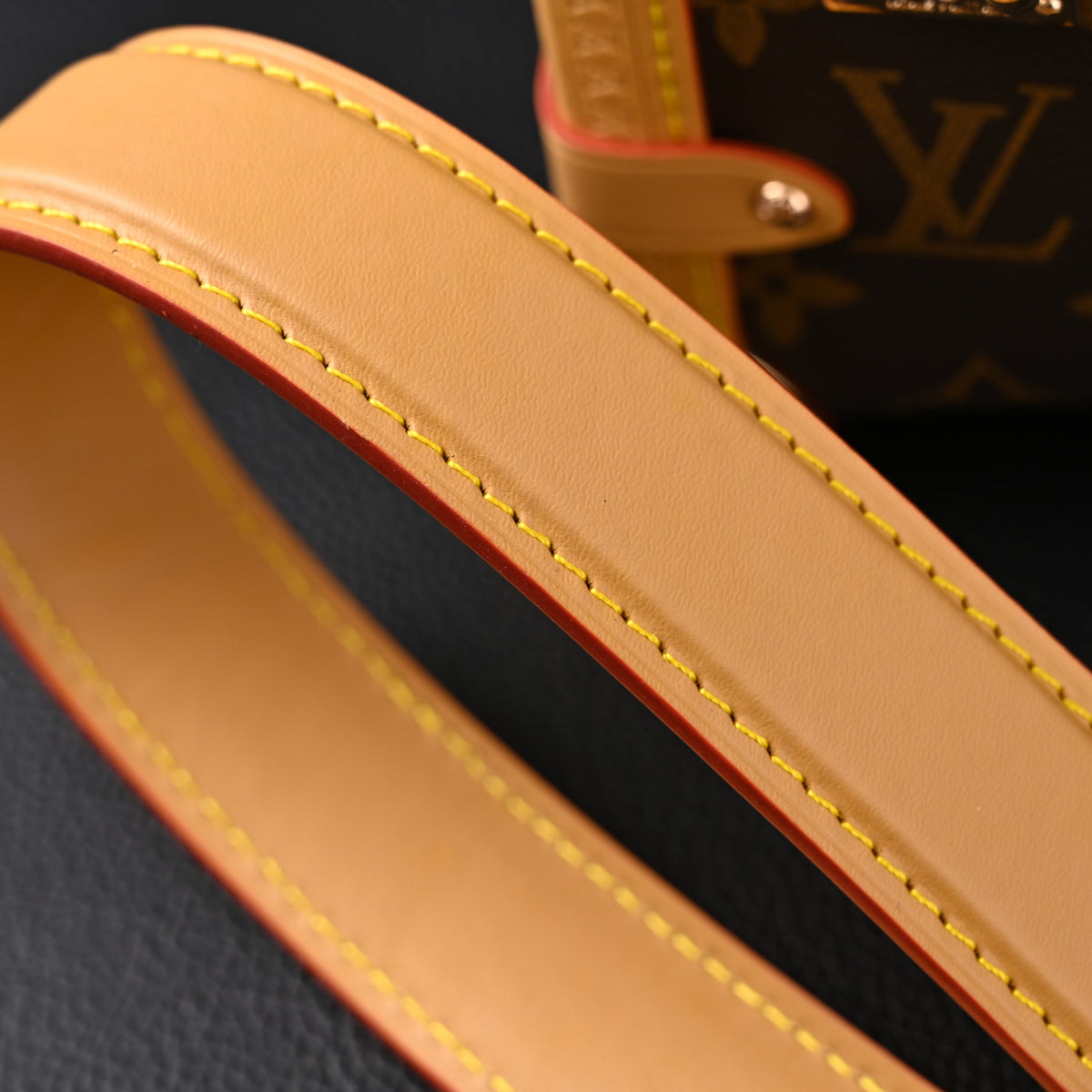 Louis Vuitton Cannes Trunk Bag – Monogram Canvas with Gold-Tone Hardware — view 4