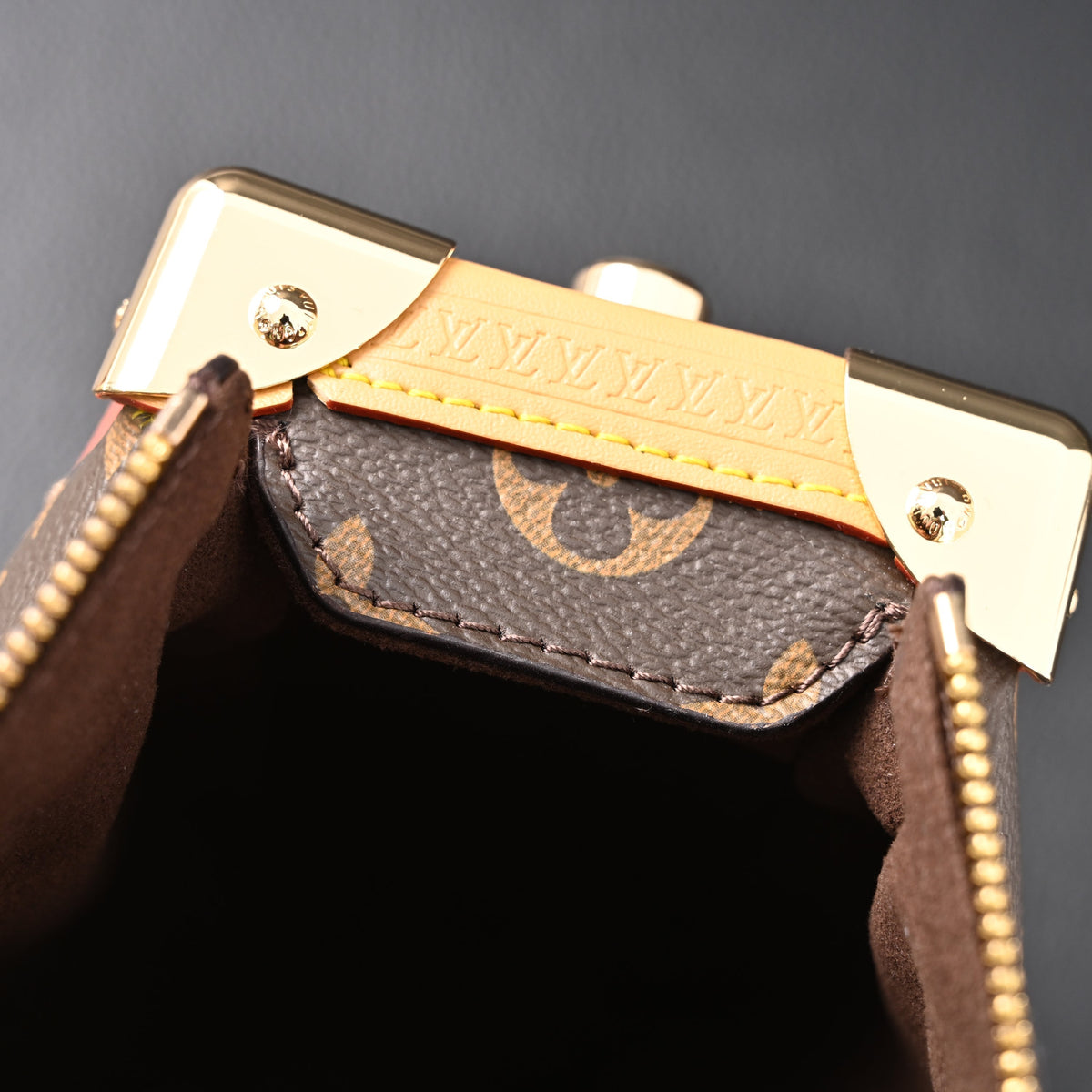 Louis Vuitton Cannes Trunk Bag – Monogram Canvas with Gold-Tone Hardware — view 13
