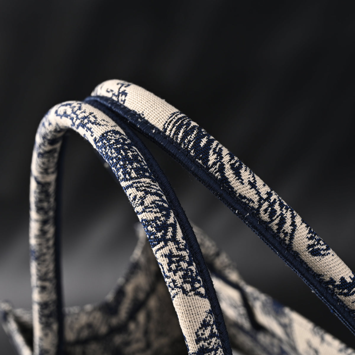 Dior Book Tote Bag – Blue Toile De Jouy Embroidery - Blue with Toile De Jouy Pattern — view 3