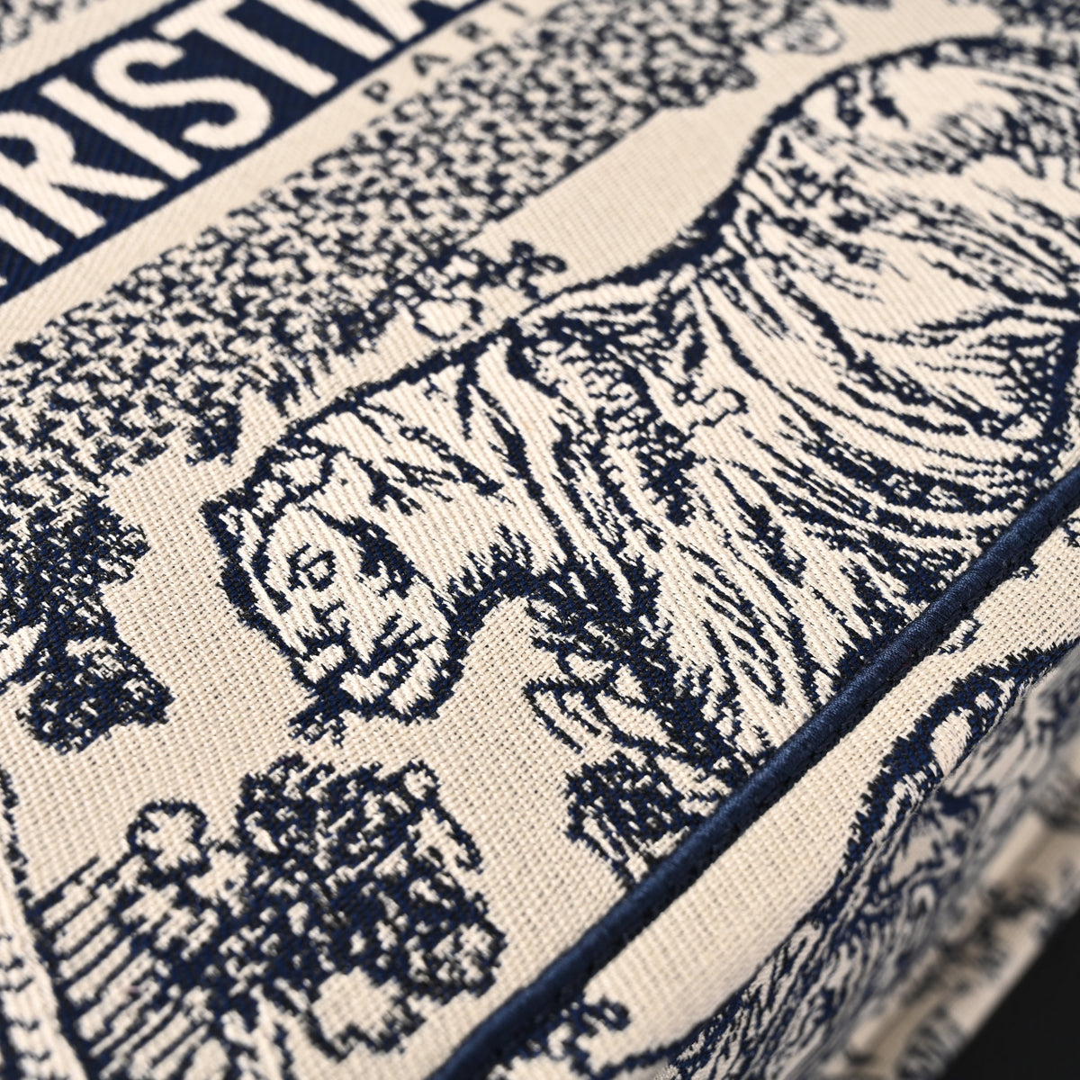 Dior Book Tote Bag – Blue Toile De Jouy Embroidery - Blue with Toile De Jouy Pattern — view 8
