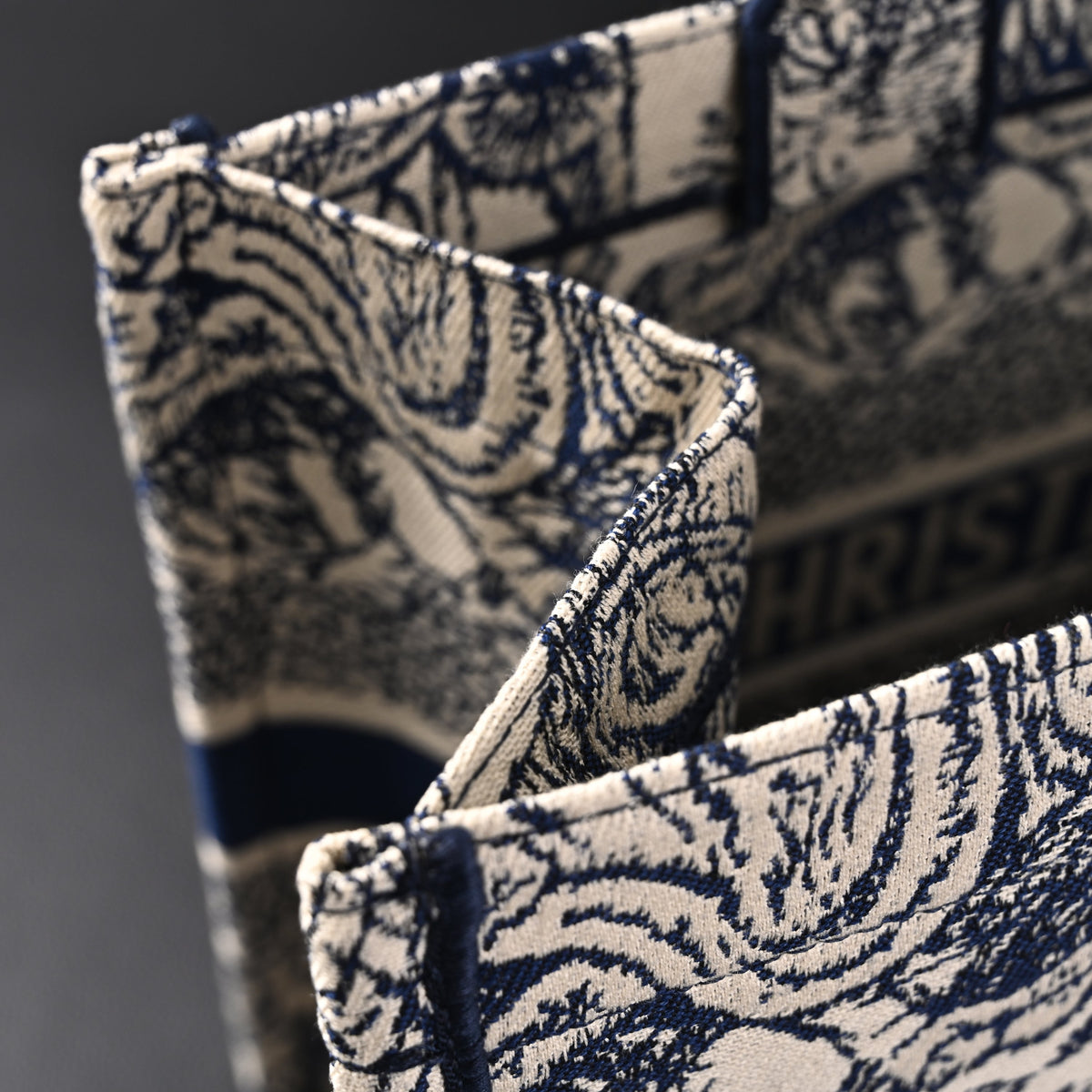 Dior Book Tote Bag – Blue Toile De Jouy Embroidery - Blue with Toile De Jouy Pattern — view 9