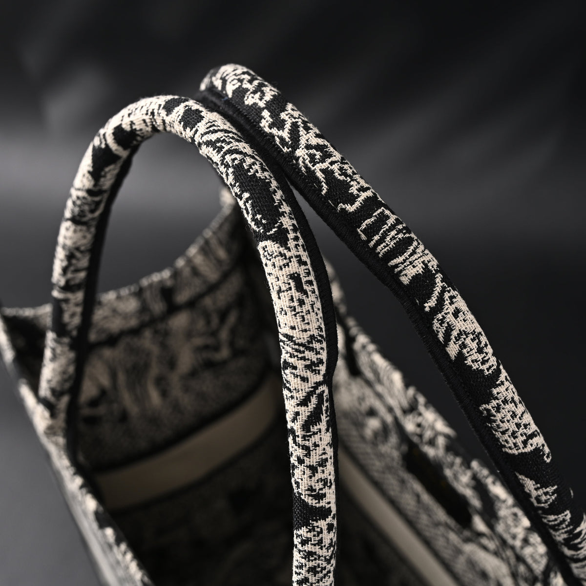 Dior Book Tote Bag – Black Toile De Jouy Embroidery — view 5
