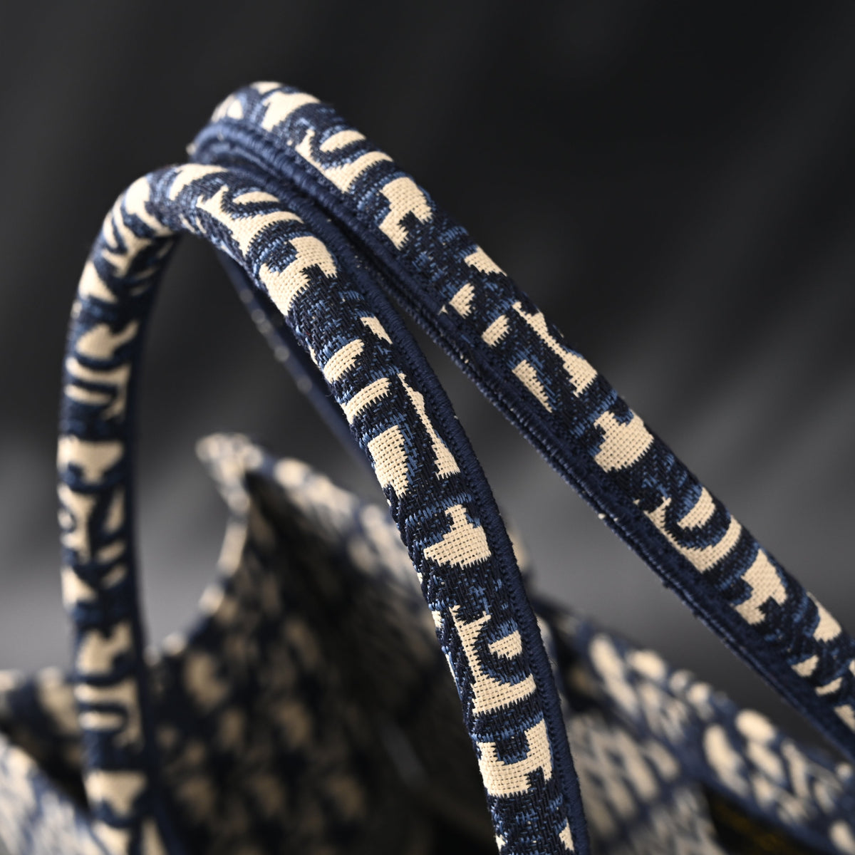 Christian Dior Large Book Tote – Blue Oblique Embroidery - Navy Blue — view 13