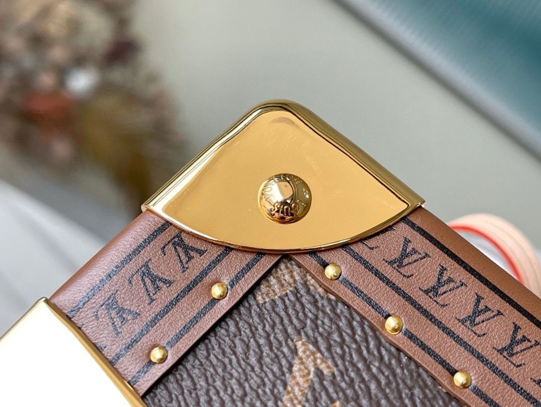 Louis Vuitton Monogram Box Bag — view 10