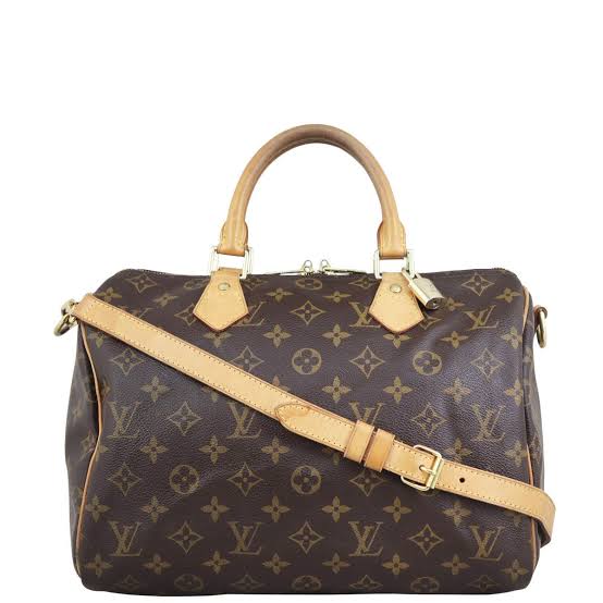 Louis Vuitton Monogram Speedy 30 Bag - Brown Monogram — view 1