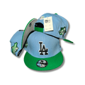 Los Angeles Dodgers Sky Blue and Green New Era 9Fifty - Snapback Cap — view 1