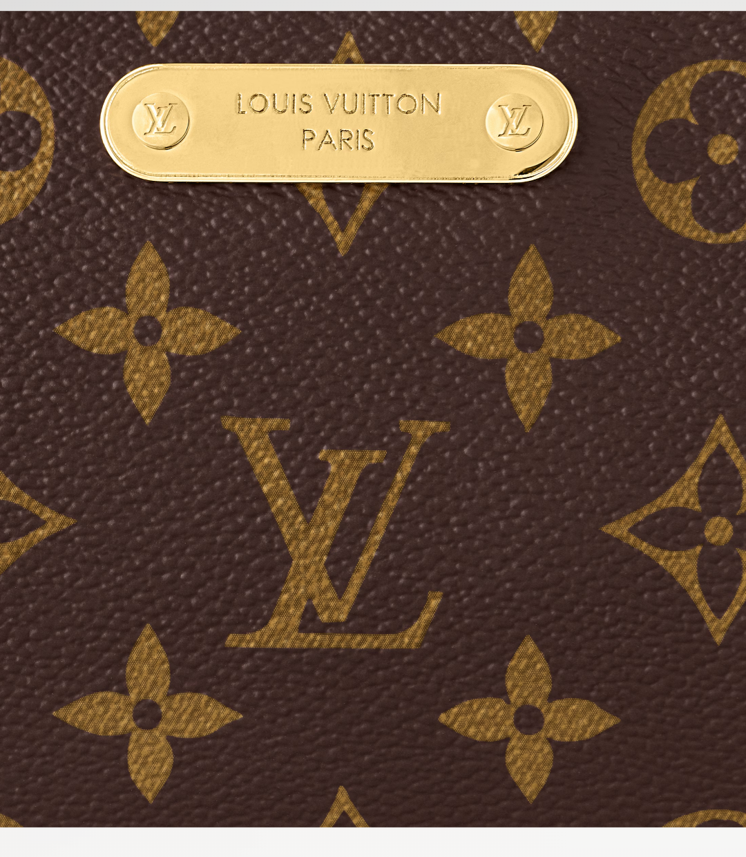 Louis Vuitton Liv Pochette Coated Canvas — view 6
