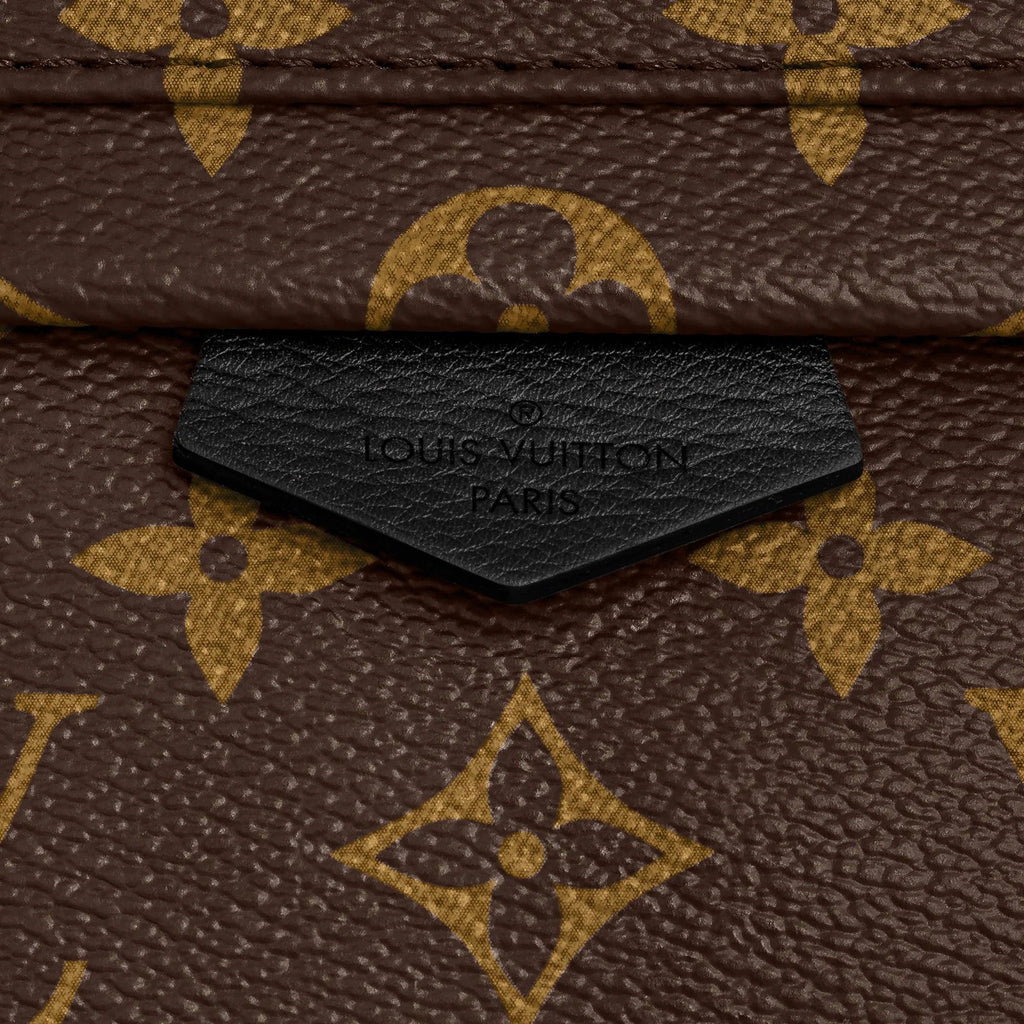 Louis Vuitton Palm Springs PM Handbag — view 5
