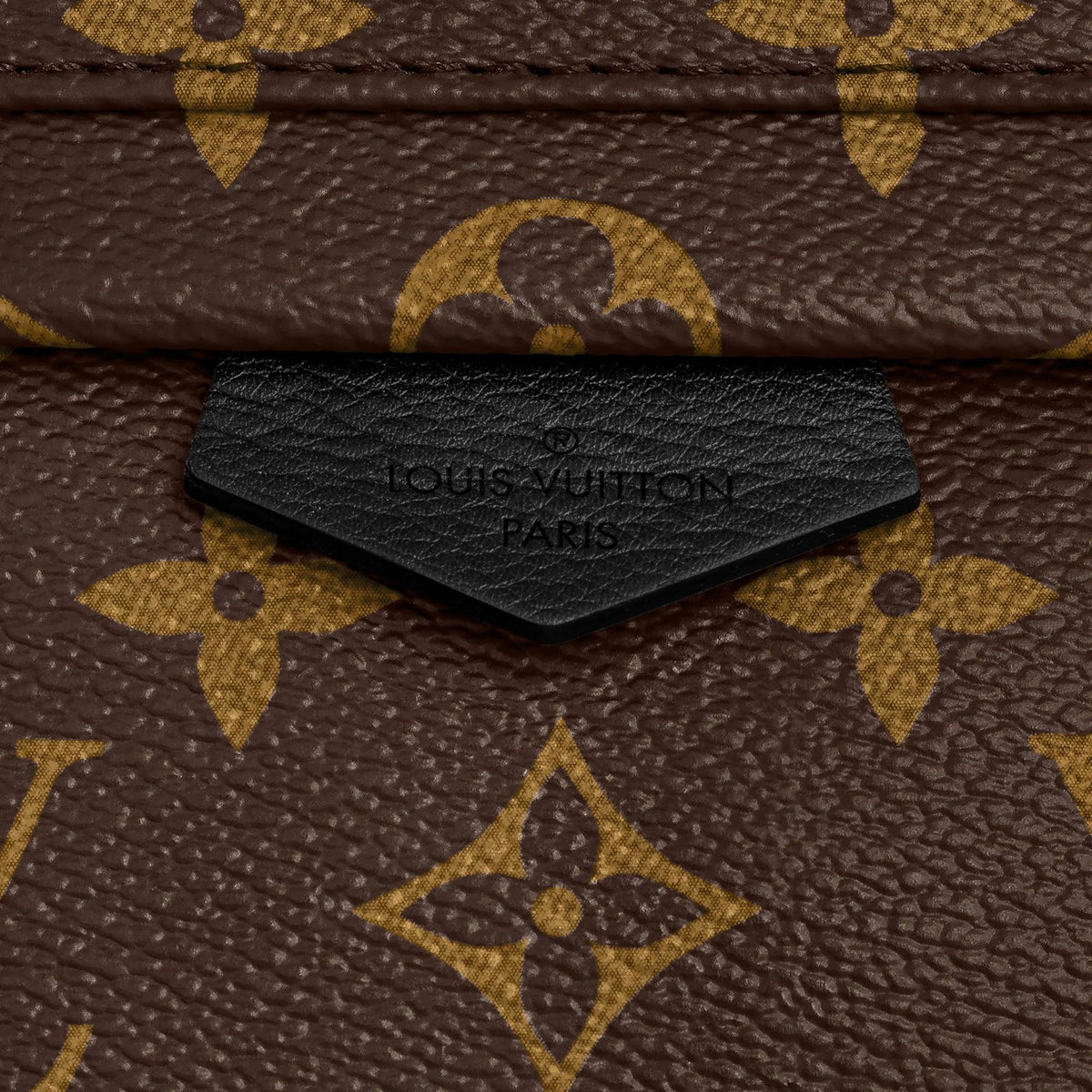 Louis Vuitton Palm Springs PM Handbag — view 5