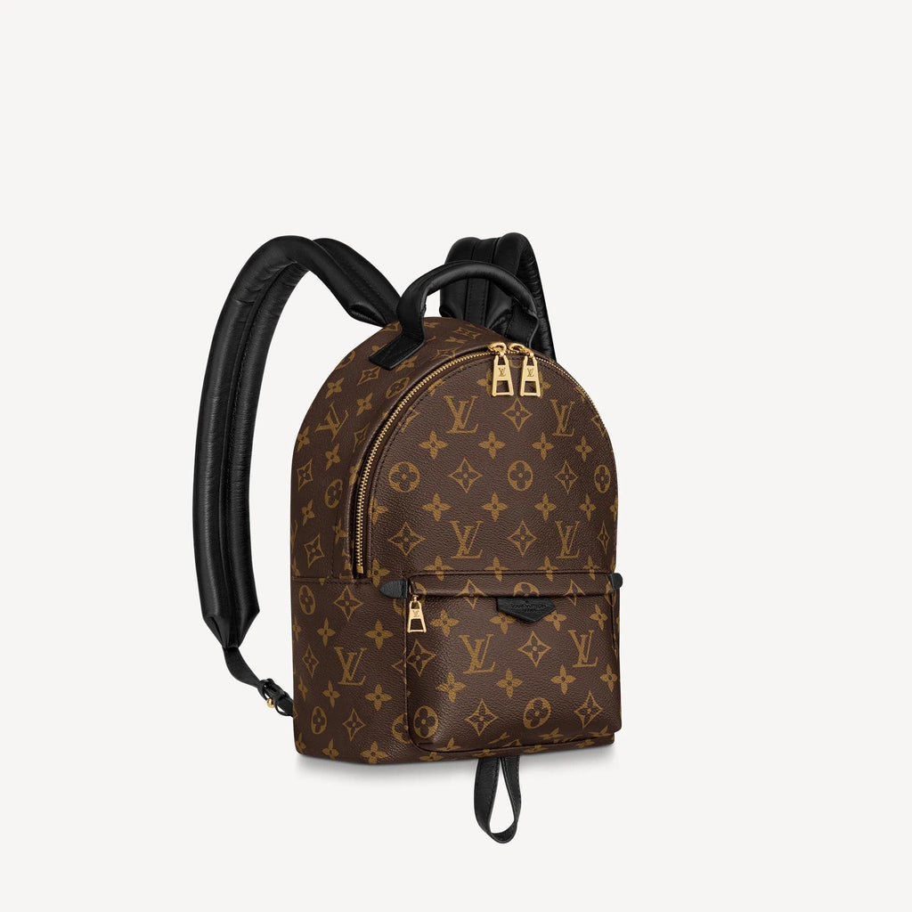 Louis Vuitton Palm Springs PM Handbag — view 1