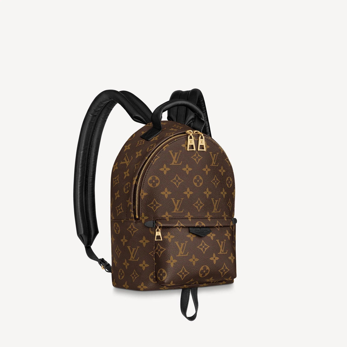 Louis Vuitton Palm Springs PM Handbag — view 1