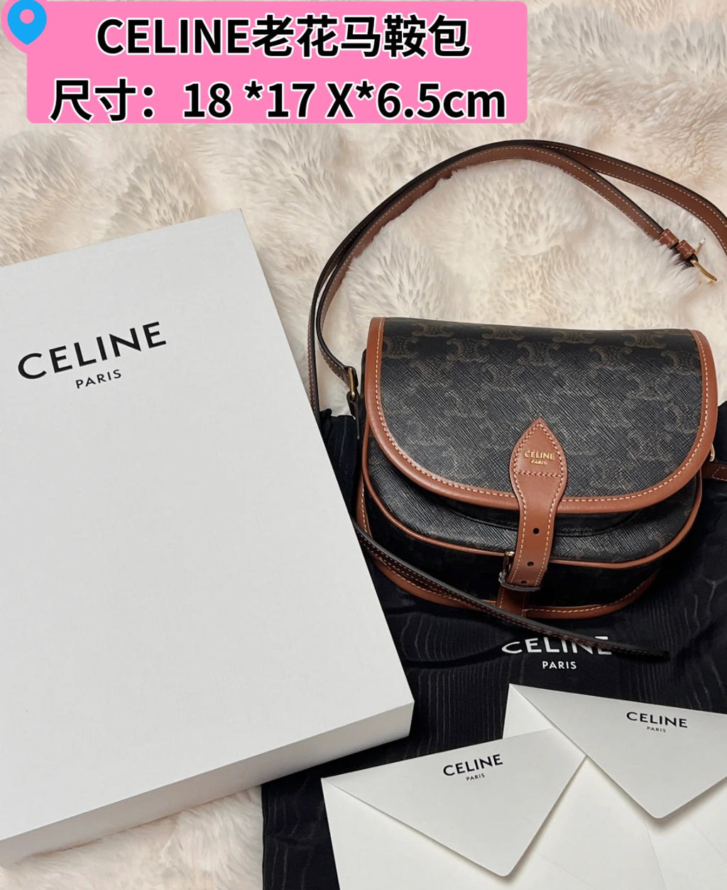 Celine Mini Triomphe Coated Canvas Besace Crossbody Bag — view 3